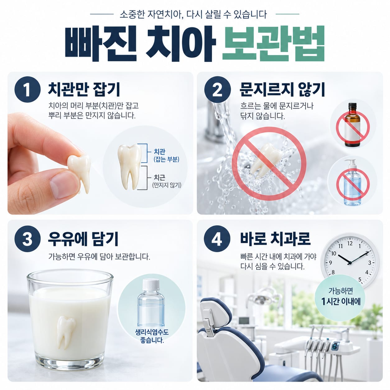 빠진 치아를 치관만 잡아 우유나 생리식염수에 담아 보관하는 방법을 안내하는 그림